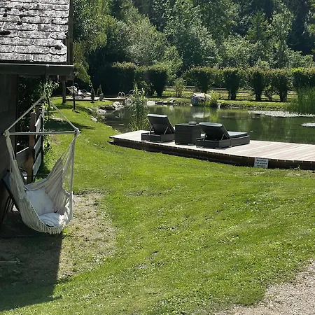 Studio7 Vorderelsenwang