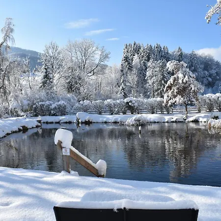 Studio7 * Vorderelsenwang