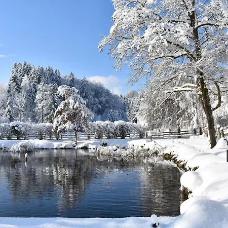 Studio7 Apartment Vorderelsenwang