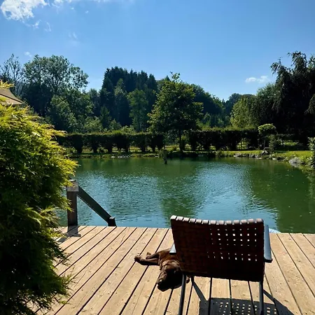 Studio7 * Vorderelsenwang