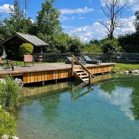 Studio7 Vorderelsenwang